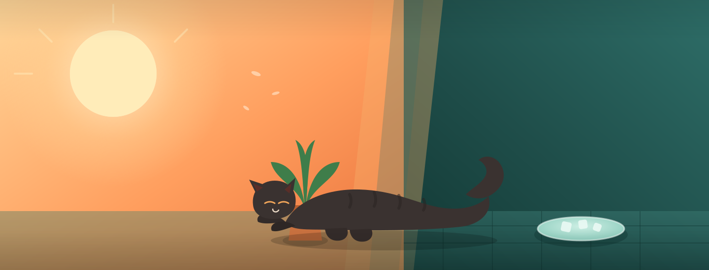 Summer and Your Cat: What Every Owner Should Know
